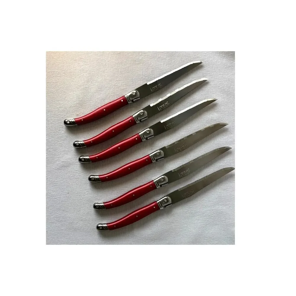 French Modern Laguiole  Stainless Steel Red  Resin Steak Knives Set  6